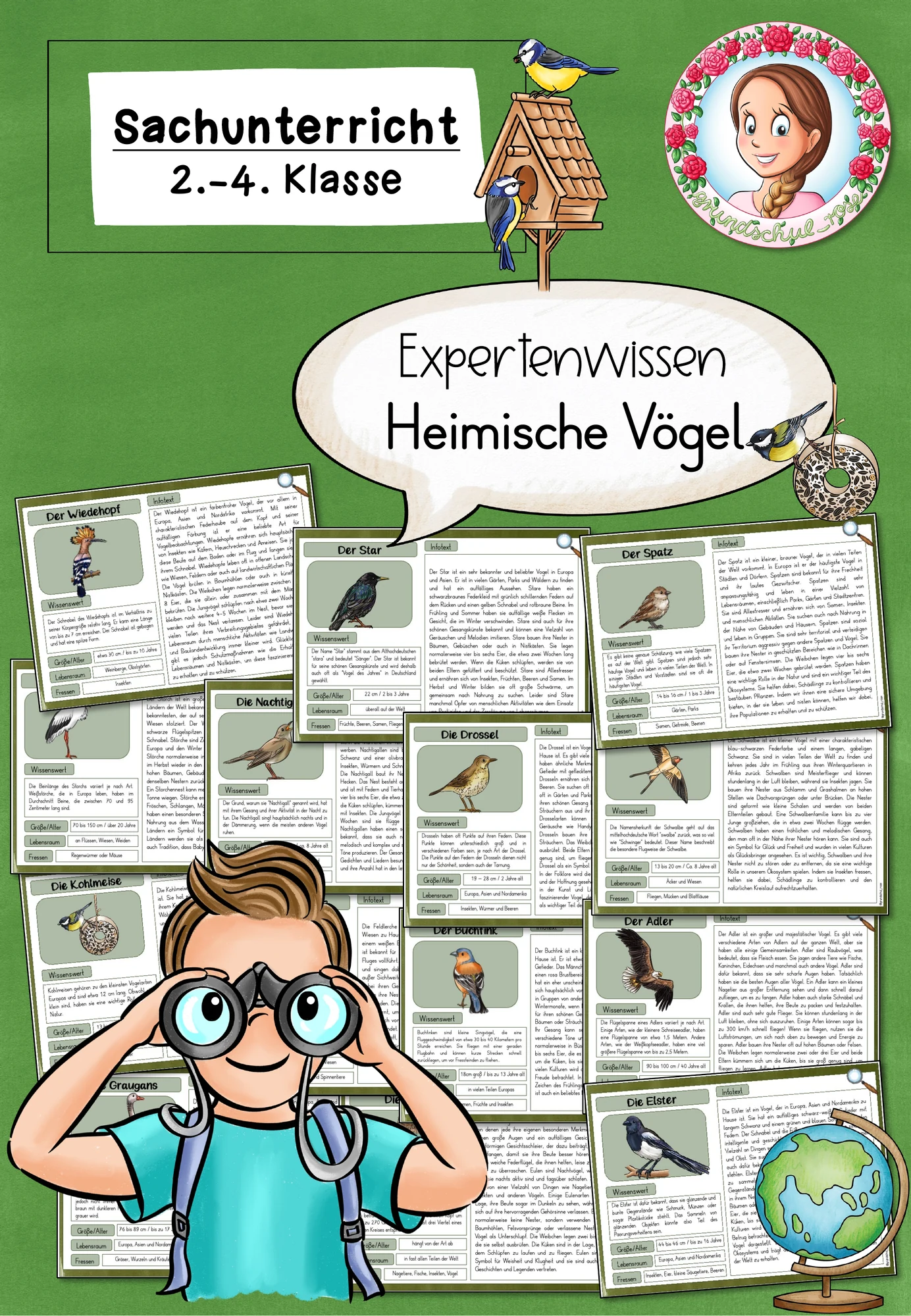 Heimische Vögel Wissenskartei | Sachunterricht Klasse 2-4