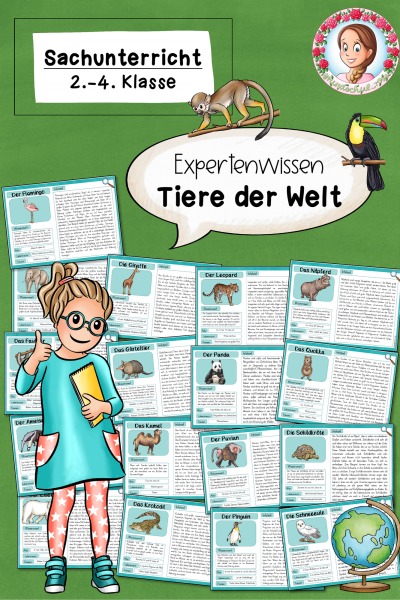 Expertenwissen Tiere der Welt Zootiere (Klasse 2 bis 4) Sachunterricht (814856)