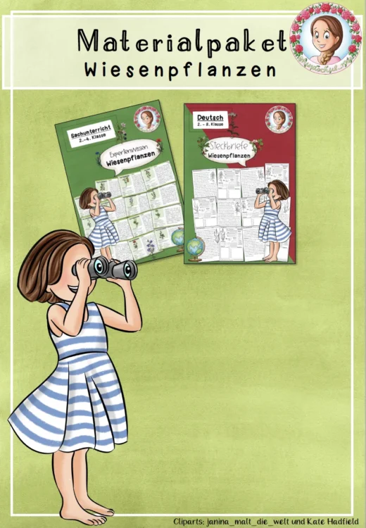 Materialpaket Wiesenpflanzen | Sachunterricht Wiese Klasse 2-3