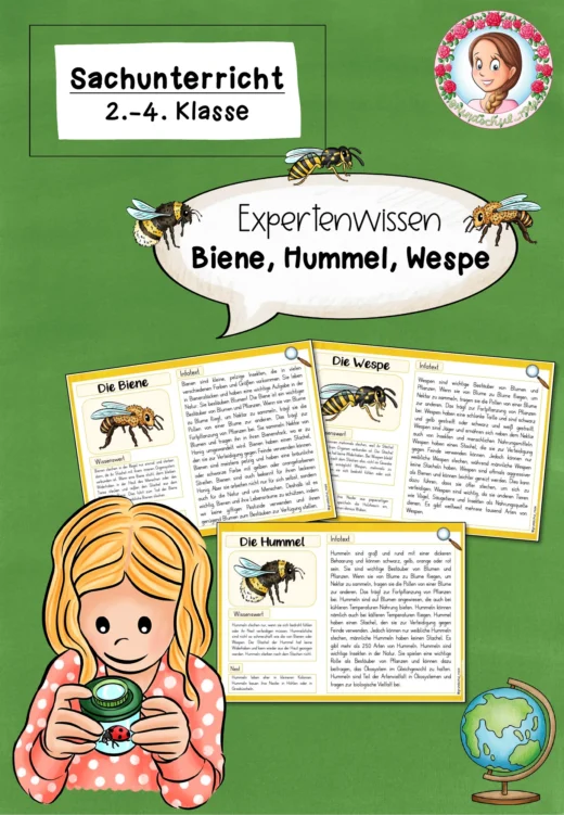 Wissenskartei zur Biene, Hummel und Wespe (2.-4. Klasse)