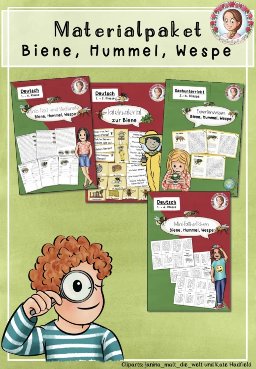 Materialpaket zur Biene, Hummel und Wespe Klasse 1 bis 4