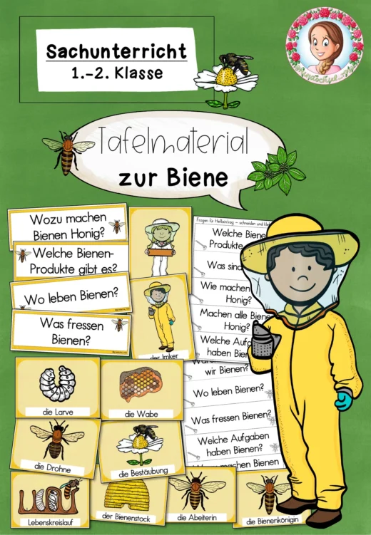 Tafelmaterial und Bildkarten zu der Biene / Bienen (1.-2. Klasse)