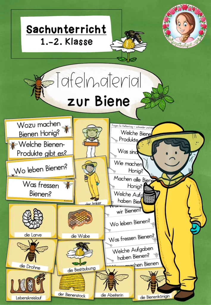 Biene Sachunterricht Bildkarten | Tafelmaterial Klasse 1-2 Cover