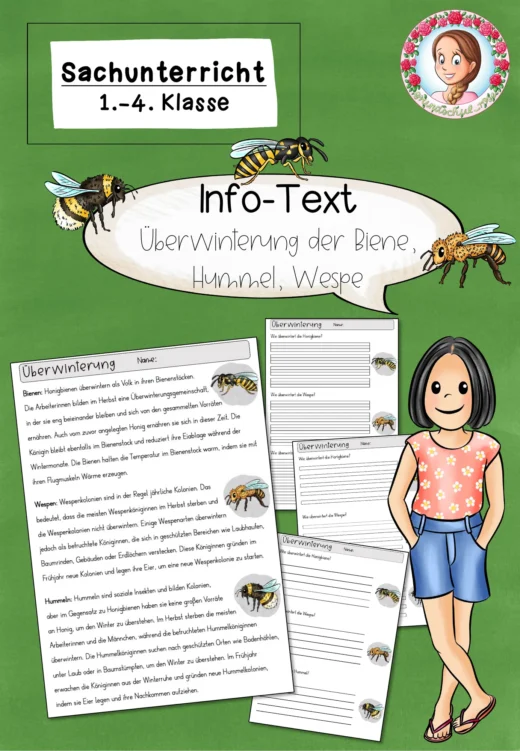 FREEBIE: Infotext zur Überwinterung der Biene, Hummel, Wespe