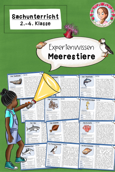 Expertenwissen zu den Meerestiere / Tiere im Meer (2.-4. Klasse) (927009)