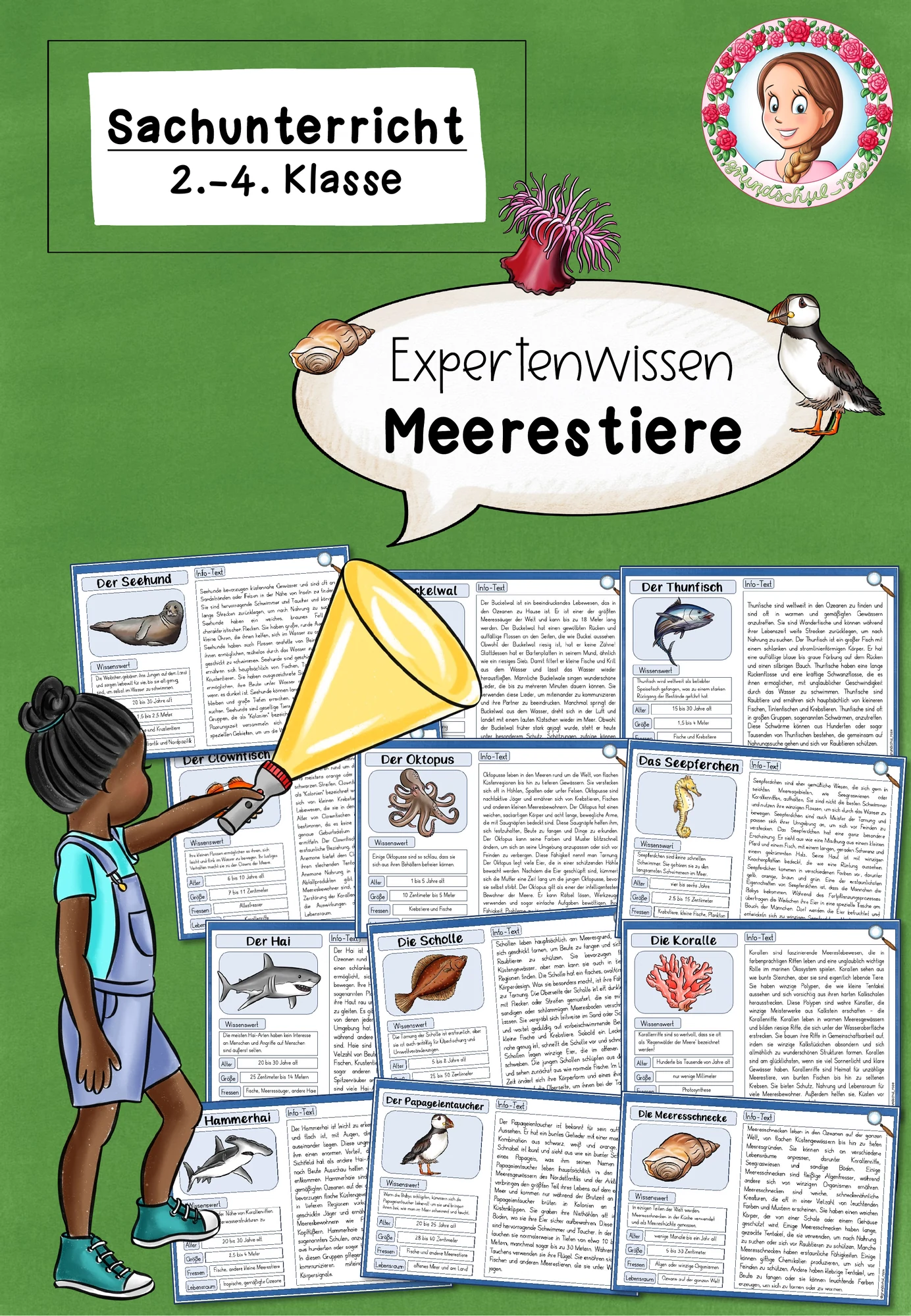 Expertenwissen zu den Meerestiere / Tiere im Meer (2.-4. Klasse)