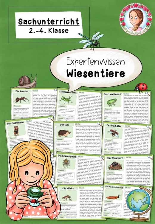 Wissenskartei Wiesentiere | Sachunterricht Klasse 2-4