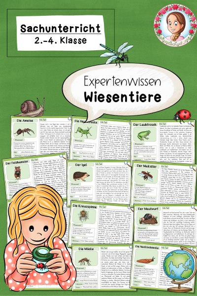 Expertenwissen Frühling Die Wiesentiere (Klasse 2 bis 4) (961944)