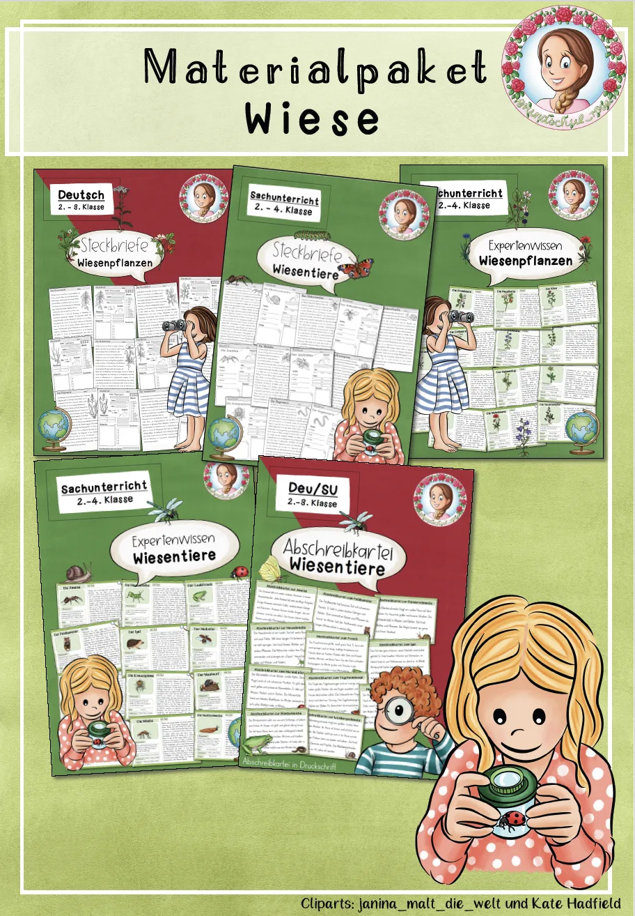 Materialpaket Wiese | Wiesentiere & Wiesenpflanzen Klasse 2-4